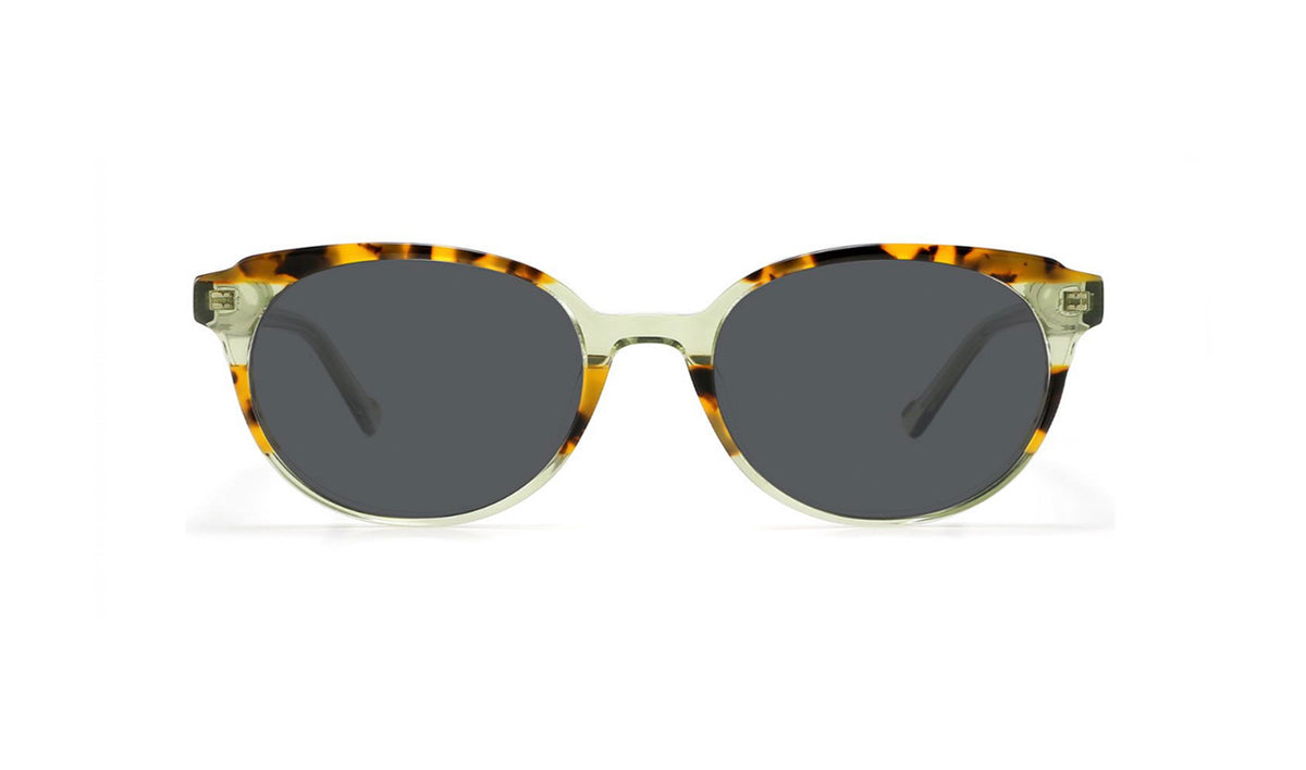 OCI1274 – Optician Company